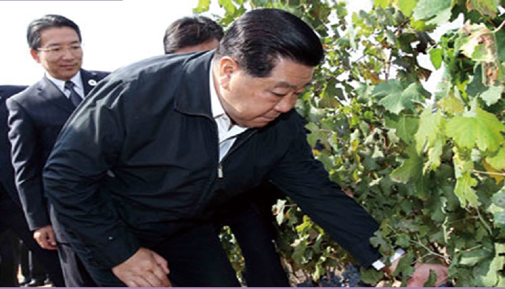 2011年9月21日，全国政协原主席贾庆林，莅临西夏王考察指导。